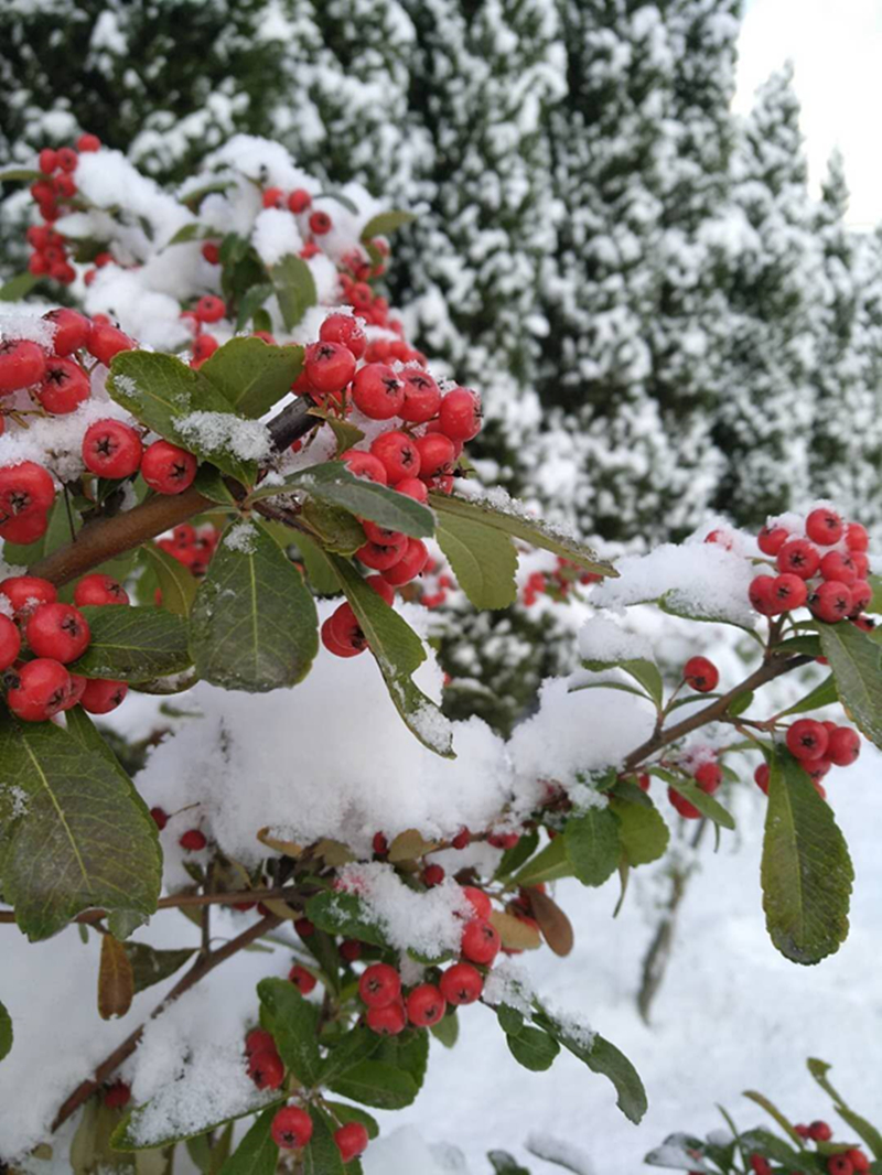 雪景 (11).jpg 雪景 (11).jpg